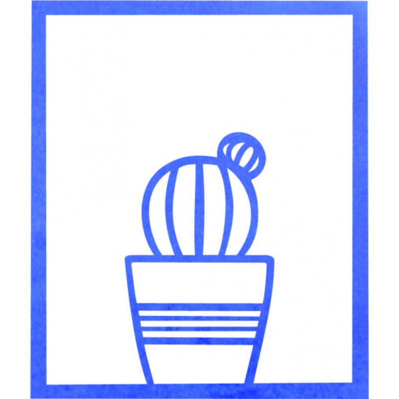 Nowoczesny obraz na ścianie - KAKTUS ALDER |...