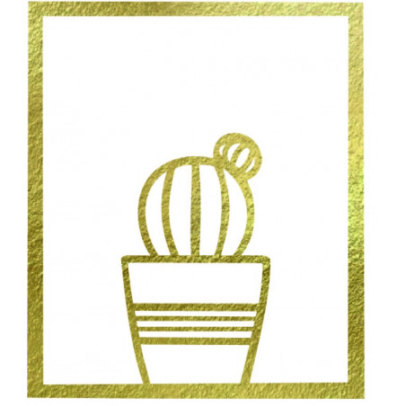 Nowoczesny obraz na ścianie - KAKTUS ALDER | SENTOP