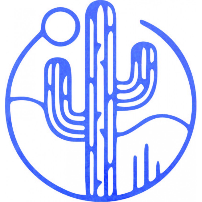 Drewniany obraz ścienny przedstawiający kaktusa...