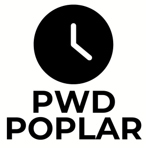 kopia PATTERN - zegar PWD TOPOL