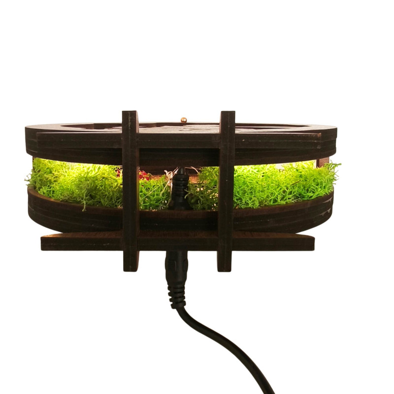 Dekoracja LED Mały Książę z samolotem | Orzech...